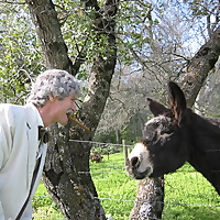 What Would Mark Twain Say?