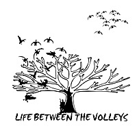 Life Between the Volleys