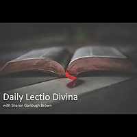 Daily Lectio Divina
