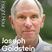 Insight Hour with Joseph Goldstein