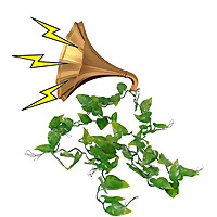 Echokraut Podcast