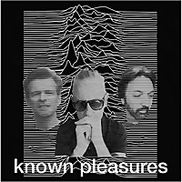 Known Pleasures