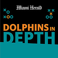Dolphins in Depth