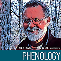 Phenology