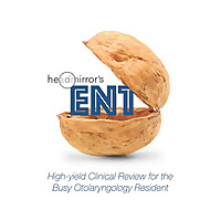 Headmirror's ENT in a Nutshell