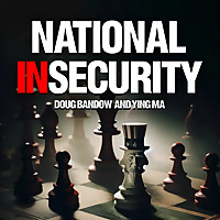 National Insecurity