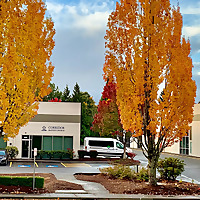 Corridor Baptist Church