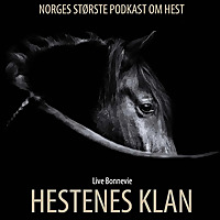 HESTENES KLAN