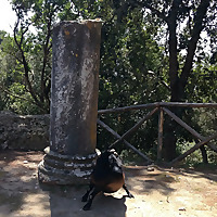 MC MytholOG - Midas, Medea, Jonah*, ATOWT, Last Gasp, Homeric, Icarus, Murph*, Herc, Orpheus, Dayz*