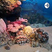 Coral reefs podcast Ft. Dr Henrick