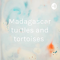 Madagascar turtles and tortoises