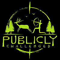 Publicly Challenged