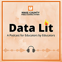 Data Lit