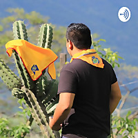Conquis Chiapas