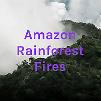 Amazon Rainforest Fires