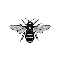 Frodsham Town Council Podcast