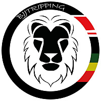 BJJ Tripping Podcast