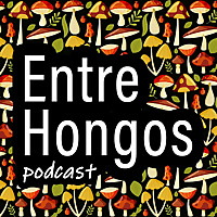 Entre Hongos