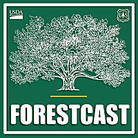 Forestcast