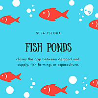 Fish Ponds
