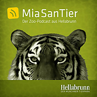 Mia san Tier - Der Zoo-Podcast aus Hellabrunn