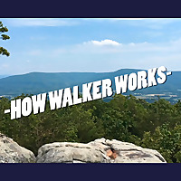 Inside Walker County, Georgia