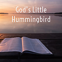 God's Little Hummingbird: Bible Time (Messianic )
