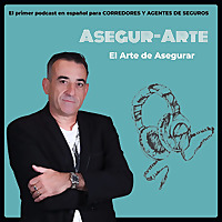 Asegur-Arte | Rafael Bonilla 10Plus Business Coach para Negocios y Emprendedores