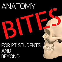Anatomy Bites Podcast