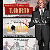 Stevie B. Media Productions