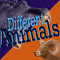 Different Animals