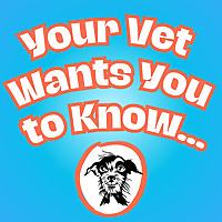 Your Vet Wants You to Know