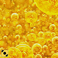 Bollicine