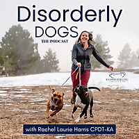 Disorderly Dogs!