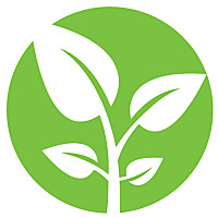 South Union's Podcast