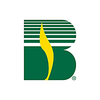 Beck's Hybrids