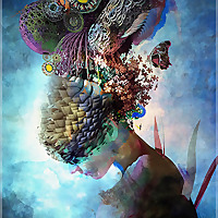 Qcreator