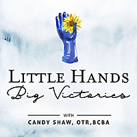 Little Hands Big Victories