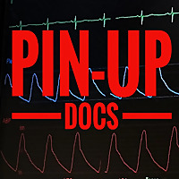pin-up-docs   don't panic