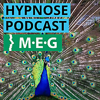 Der Hypnose Podcast der Milton H. Erickson Gesellschaft