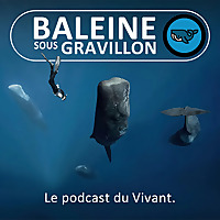 Baleine sous Gravillon