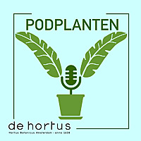 Podplanten