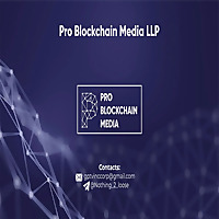 Pro Blockchain