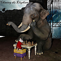 Chasing the Elephant