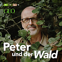Peter und der Wald   ein GEO-Podcast