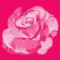 Dergah Podcast from The Sufi Lodge