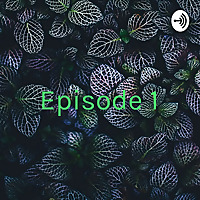 Episode 1: The Case