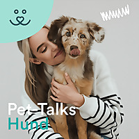 Pet-Talks: Hund   der Ratgeber-Podcast von DeineTierwelt