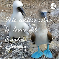 Dato curioso sobre la Fauna del Ecuador