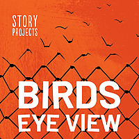 BIRDS EYE VIEW
